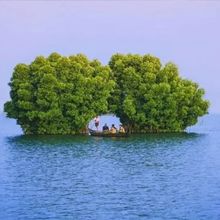 gifts-img